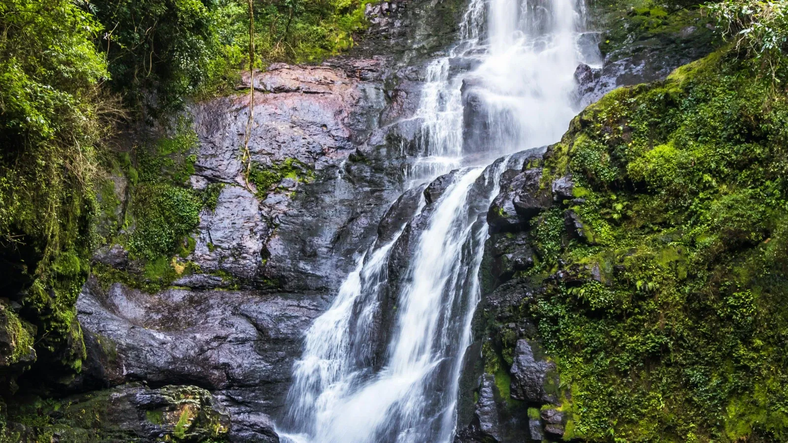 Spring water waterfall