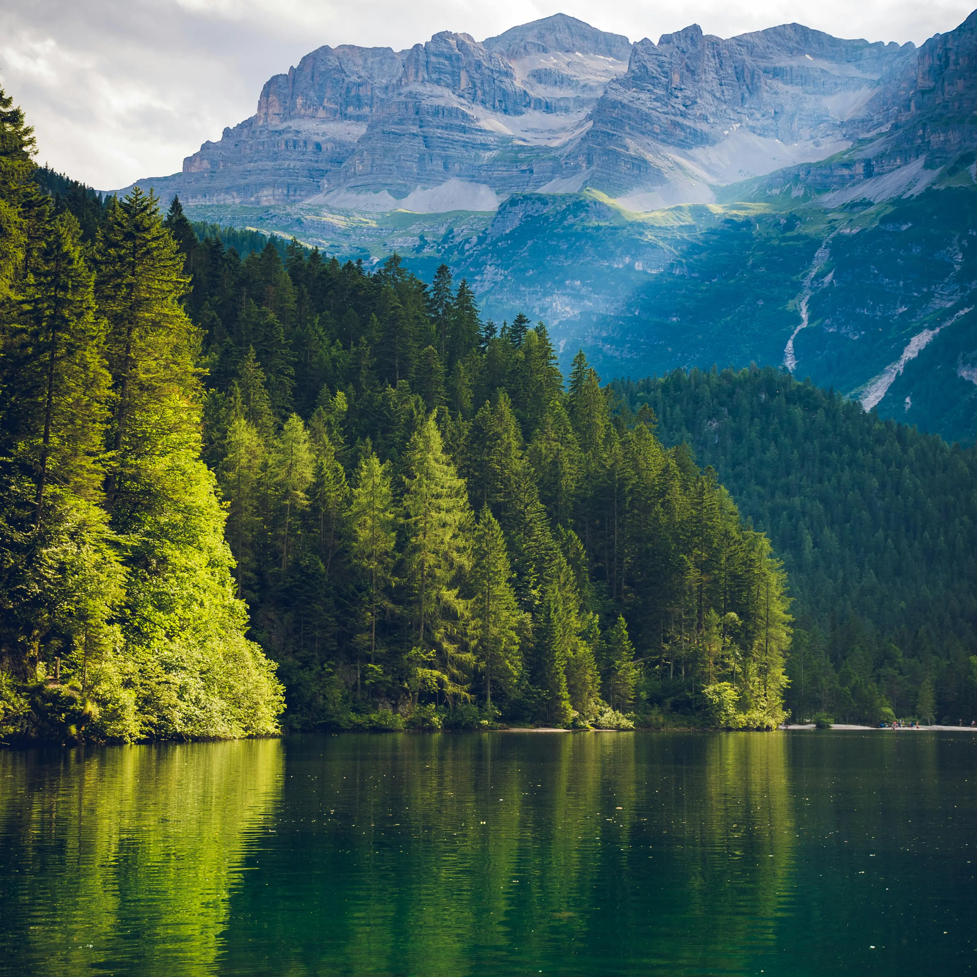 Mountains, forest and lake